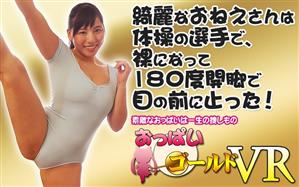 主観,巨乳,お姉さん,VR専用